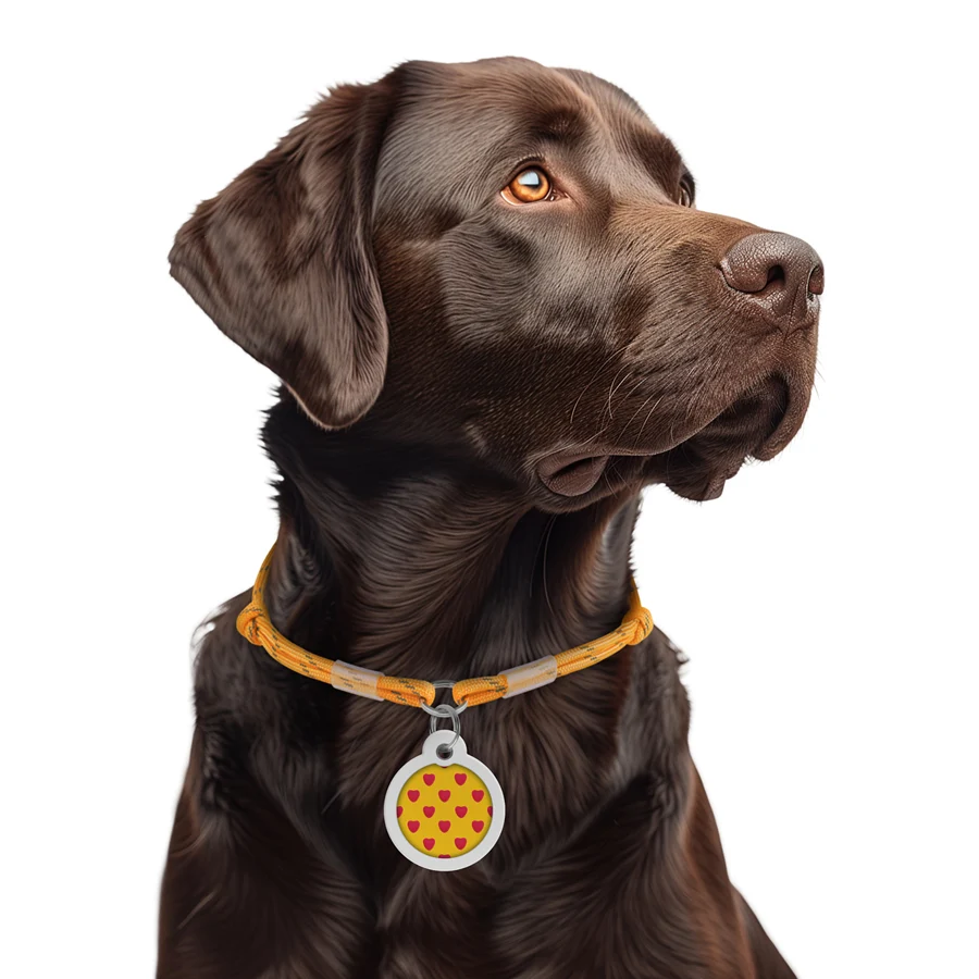 Шнурок WAUDOG Smart ID світловідбивний паракорд 42-76 см 4 мм золотий