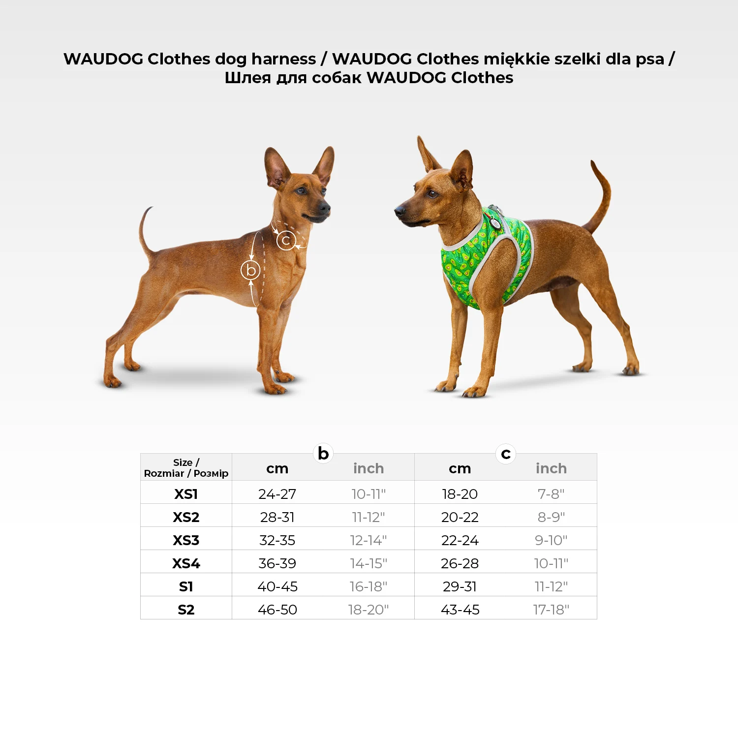 Шлея для собак WAUDOG Clothes XS2 Нейлон 28-31 см Авокадо з QR паспортом