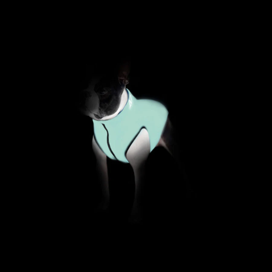 Курточка для собак двостороння AiryVest Lumi світиться в темряві L 55 см салатово-помаранчева