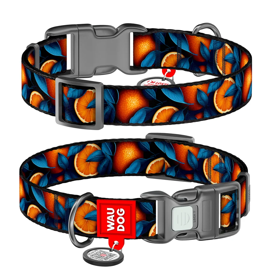 Нашийник WAUDOG Nylon S 15 мм Апельсиновий Нейлон 25-35 см з QR паспортом