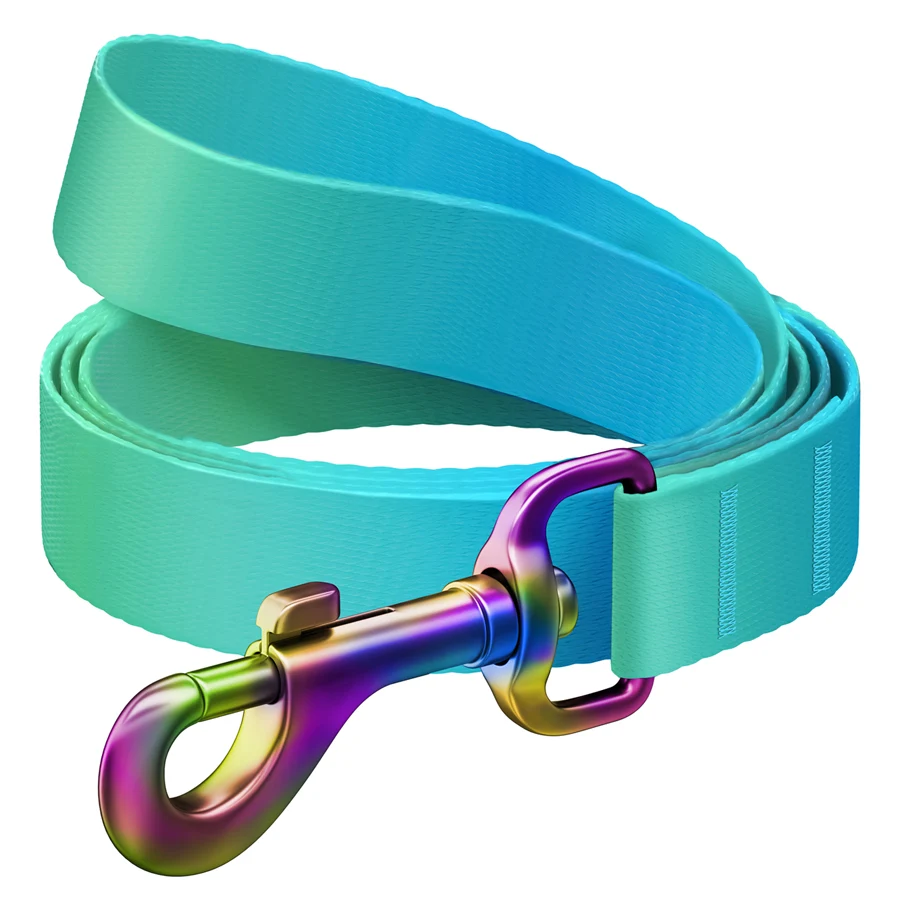 Повідець WAUDOG Nylon Recycled градієнт 25 мм x 122 см R-PET блакитний