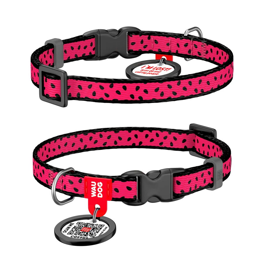 Нашийник WAUDOG Nylon з QR паспортом 10 мм 20-30 см Кавун