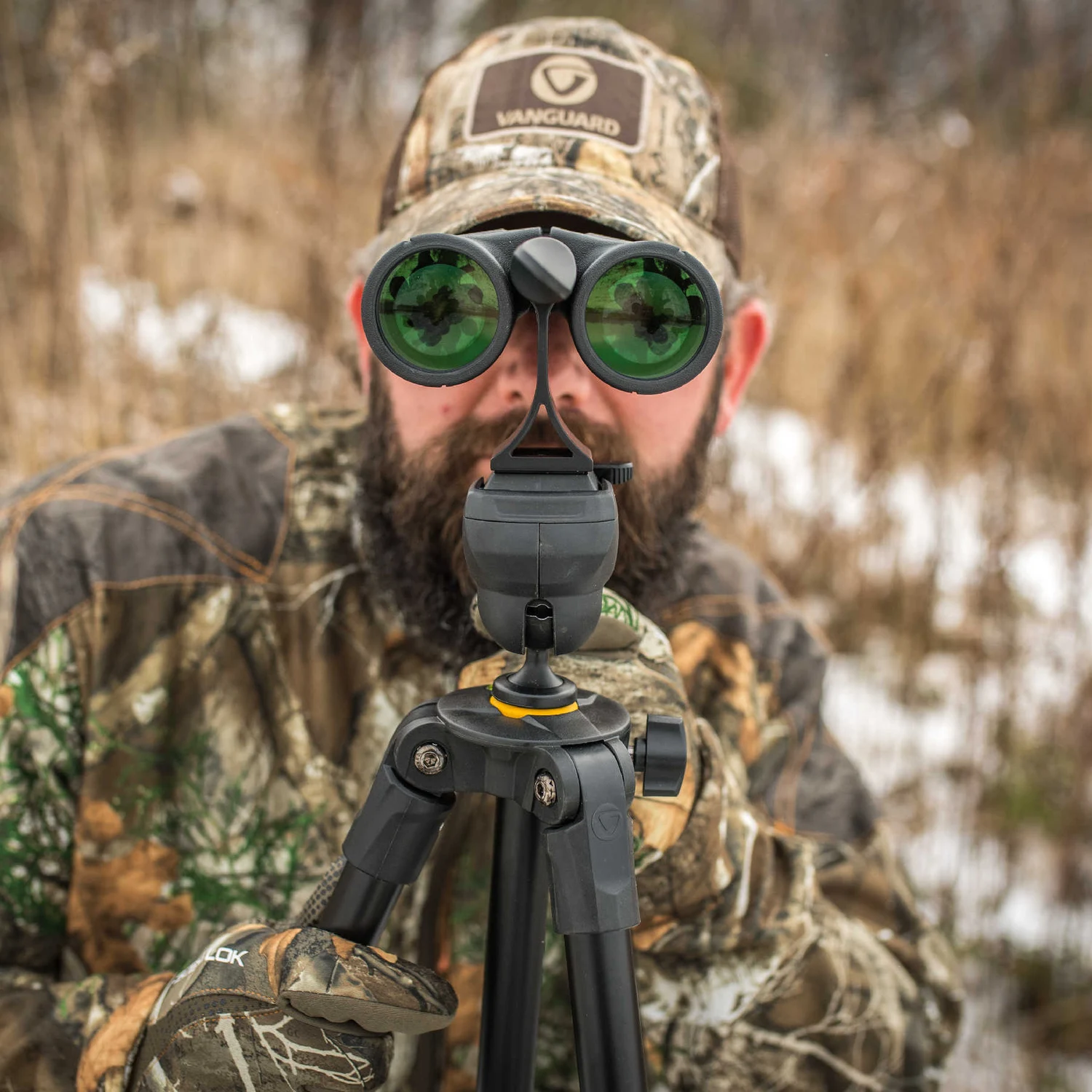 Бінокль Vanguard Vesta 8x42 WP водозахищений BAK4 чорний