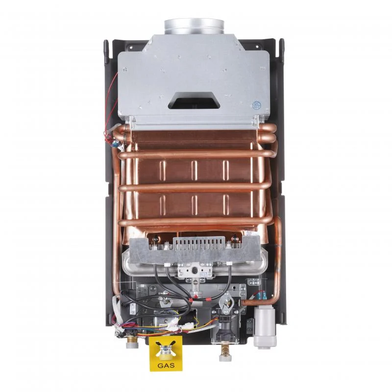 Газова колонка Thermo Alliance JSD20-10NQB 10 л метал чорна