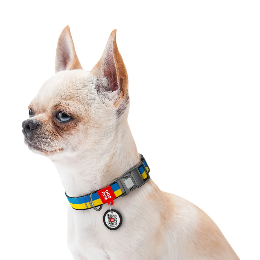 Нашийник WAUDOG Nylon S 15 мм 25-35 см Нейлон Colors of freedom з QR паспортом