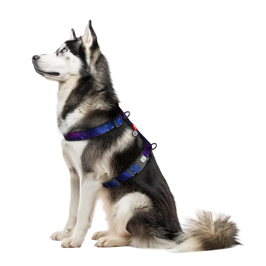 Шлея WAUDOG H-подібна Nylon з QR-паспортом 35 мм 60-100 см 70-100 см малюнок NASA21